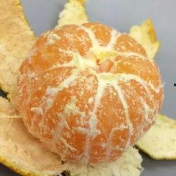 橘子最新爆料视频,娱乐圈幕后真相大曝光！